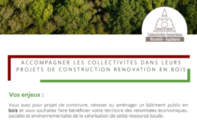 CRTE, Petites Villes de Demain, Avenir Montagne: Des leviers pour intégrer le bois local dans vos projets d’aménagement et de construction
