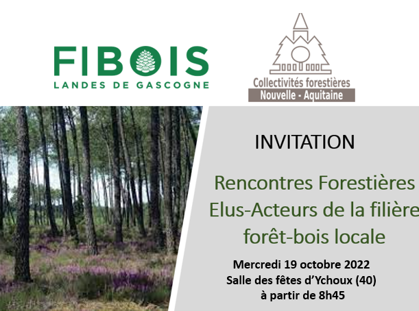 Rencontres Annuelles élus et acteurs de la filière forêt-bois, le 19 octobre 2022 à Ychoux (40)