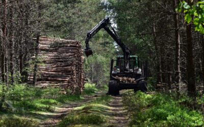 Enquête régionale élus – exploitation forestière : Les résultats