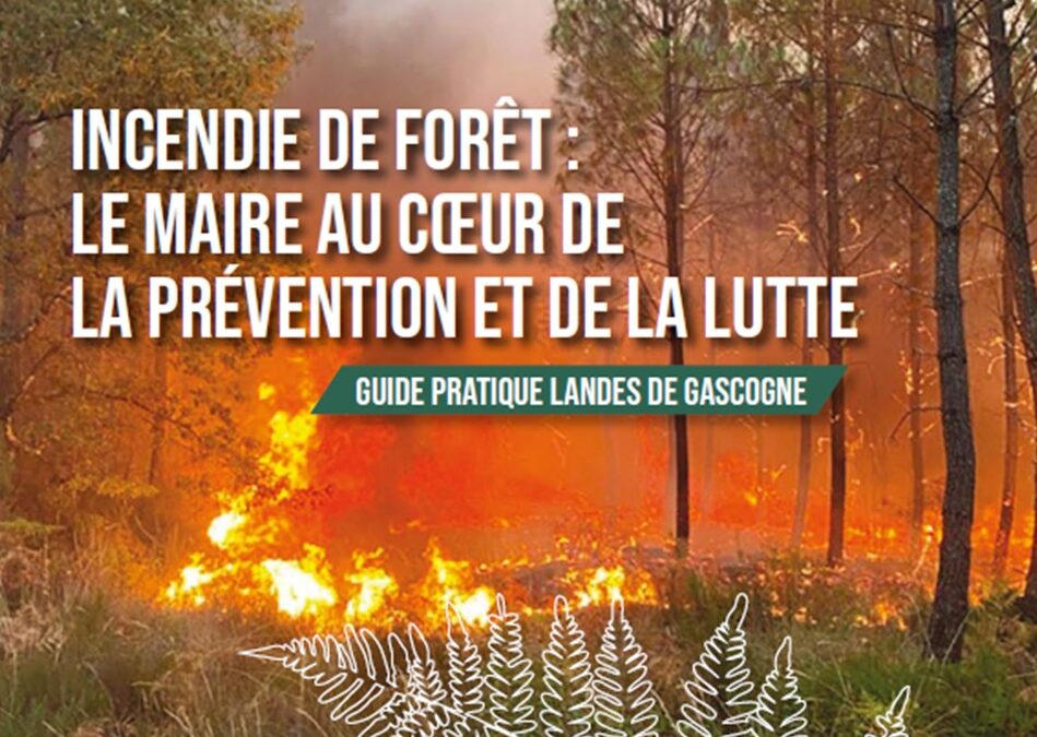 Landes de Gascogne : le guide pratique du Maire face au risque feu de forêt