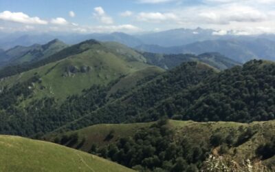 Les Cofor 64 se mobilisent pour les élus des Pyrénées Atlantiques !