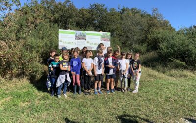 Enfants et élus en forêt : à la rencontre de la forêt et de ses secrets !