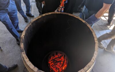 Filière chêne-merrain de l’Armagnac : un héritage durable et d’excellence