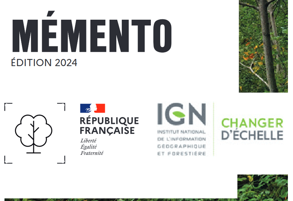 Inventaire forestier IGN 2024