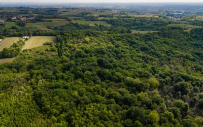 Elus de communes PROPRIETAIRES ou NON de forêt: la forêt vous concerne!