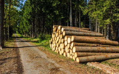 Retrait du projet d’encaissement des recettes de ventes de bois des Communes par l’ONF