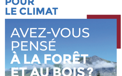 Comment intégrer les enjeux forestiers dans les Plans Climat?