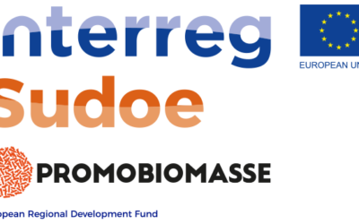 BOIS-ENERGIE 64 –  Journée de clôture du projet européen Promobiomasse à Aioz (Navarre)