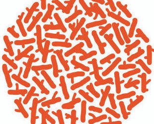 Promobiomasse : Les chaufferies bois du 64 en exposition !