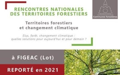 REPORTE – Rencontres nationales des territoires forestiers