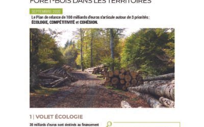 ANALYSE – PLAN DE RELANCE, des moyens pour les territoires ?