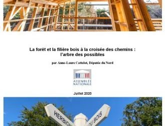 COMMUNIQUÉ – RAPPORT CATTELOT sur la forêt et la filière bois, les Communes forestières à l’unisson