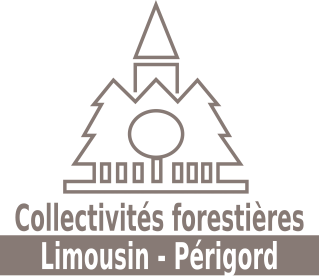 COFOR_LIM-PER