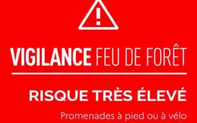 Vigilance rouge risque de feux de forêt pour la Gironde, les Landes et le Lot-et-Garonne