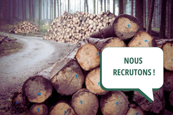 Nous recrutons !