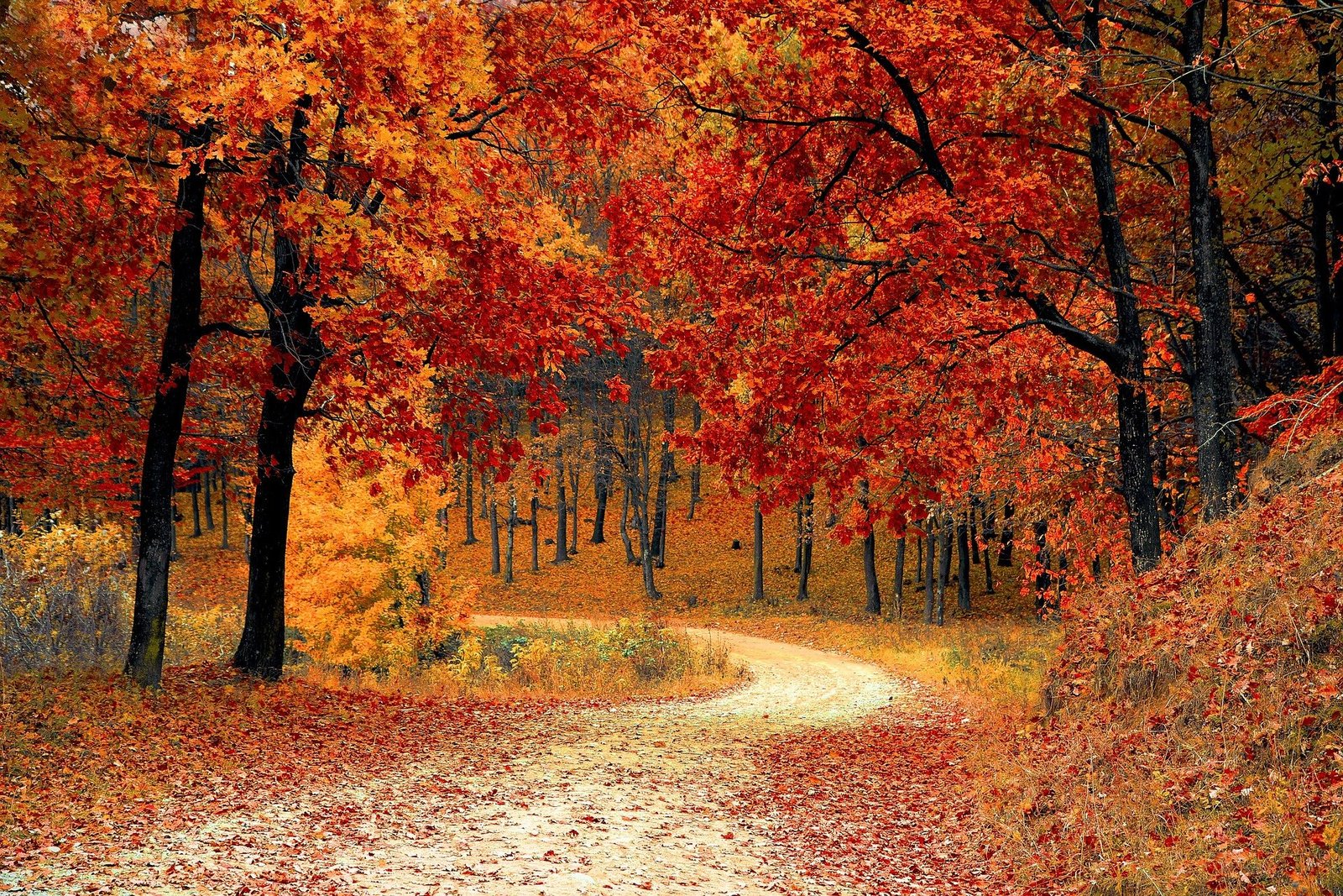 road-gc454b8a00_1920