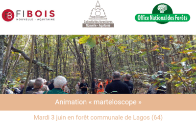 3 juin Lagos (64) – Invitation au « Marteloscope »