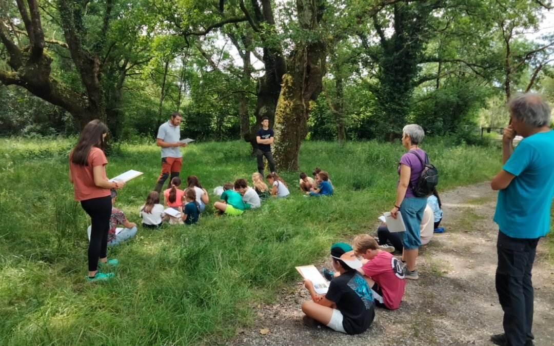 Ustaritz : les enfants découvrent le lien précieux entre forêt et eau