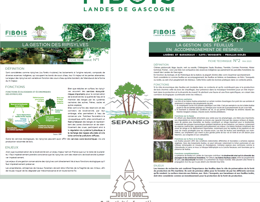 Rencontre Elus et acteurs de la filière forêt bois des Landes de Gascogne