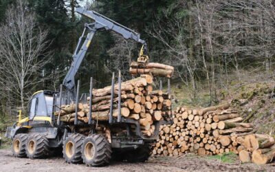 Chantiers Forestiers – Une boite à outils pour les élus
