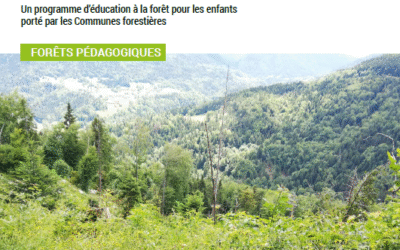 Le réseau des forêts pédagogiques en Limousin s’agrandit!
