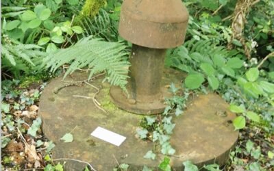 Forêt et périmètres de captages – Une plaquette