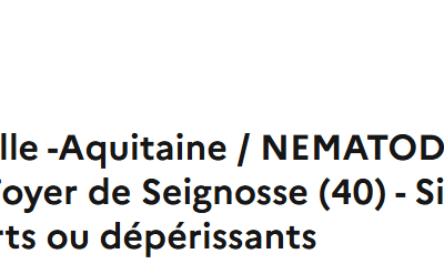 Nématode – Faites remonter les signalements de pins dépérissants
