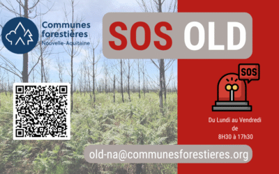 Les communes forestières de Nouvelle-Aquitaine s’engagent pour les élus!