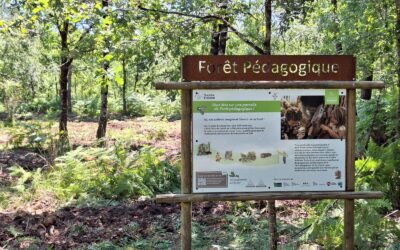 Saint-Hélène : les enfants à la découverte de la forêt et de ses métiers