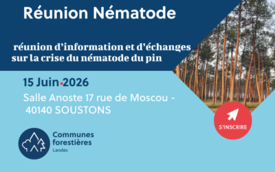 Réunion d’information sur le nématode du pin