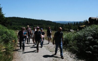 Réunion sur le terrain Etat des lieux d’un chantier forestier : cas pratique